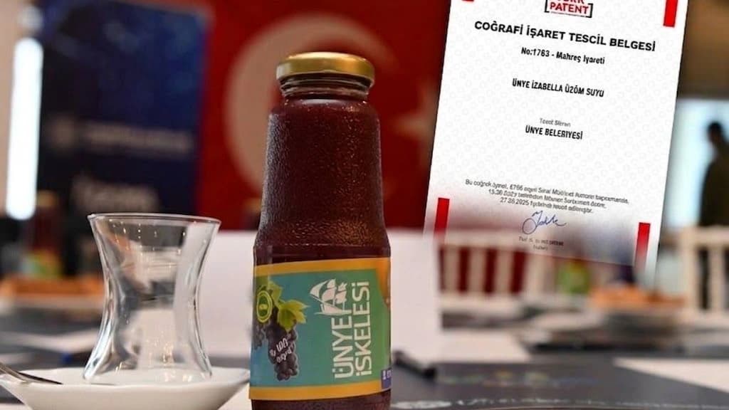 Ünye’de İzabella Üzümü için katma değerli üretim hedefi